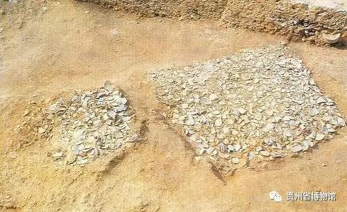 1636447920230750.jpg 11.jpg