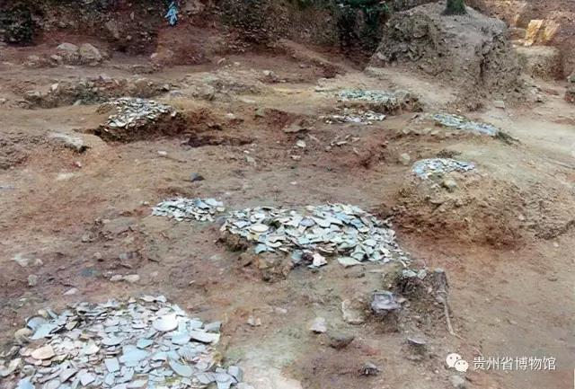 1636447927193352.jpg 12.jpg