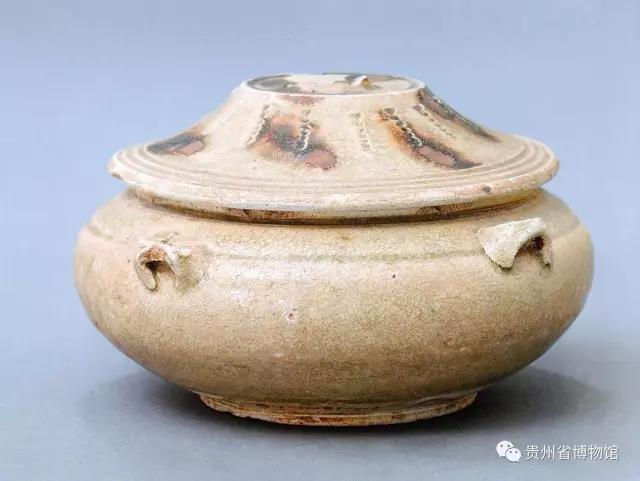 1636447951368837.jpg 15.jpg