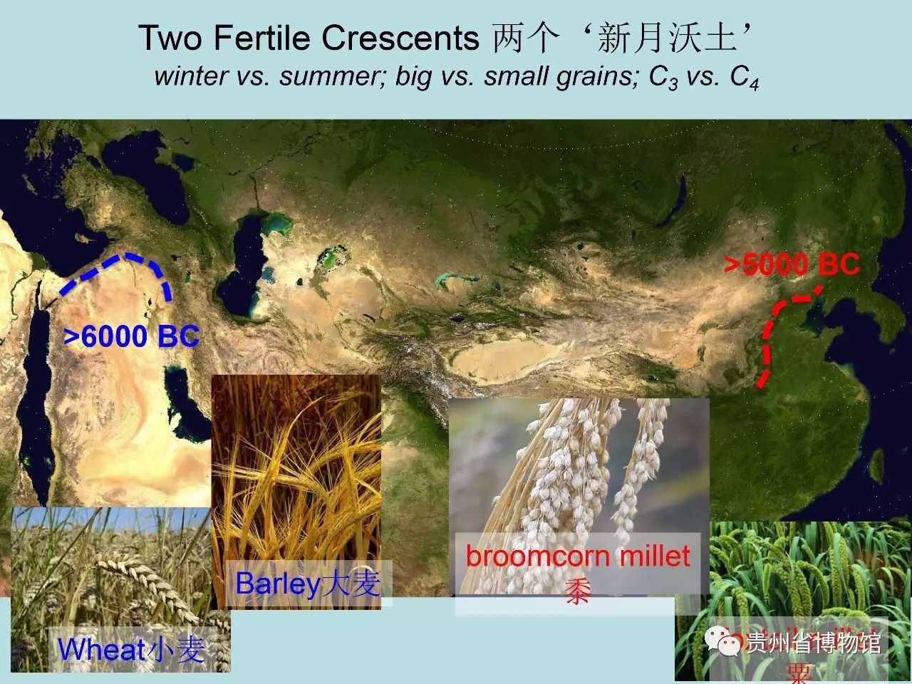 1636450682190997.jpg 6.jpg