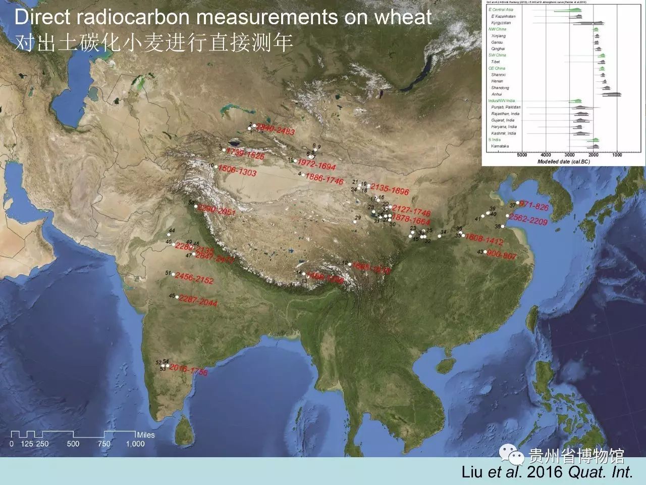 1636450691307270.jpg 7.jpg