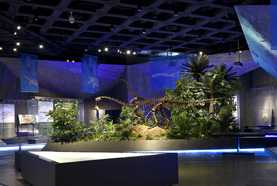 1648435372137812.jpg 1.jpg