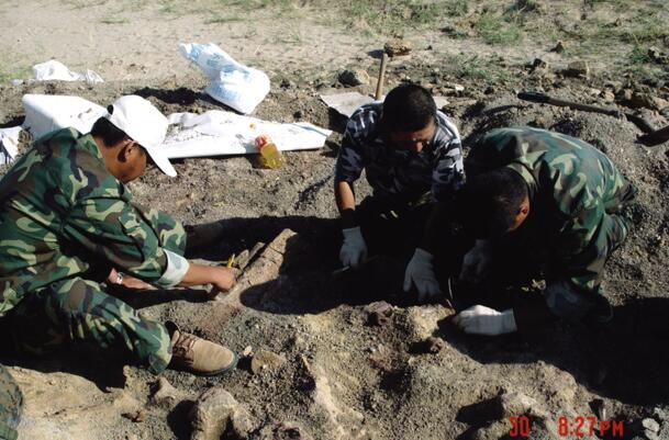 1649314097454965.jpg CCTV拍摄现场,意外发现蜥脚类恐龙化石.jpg