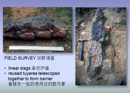 1650768021341217.png 7.png