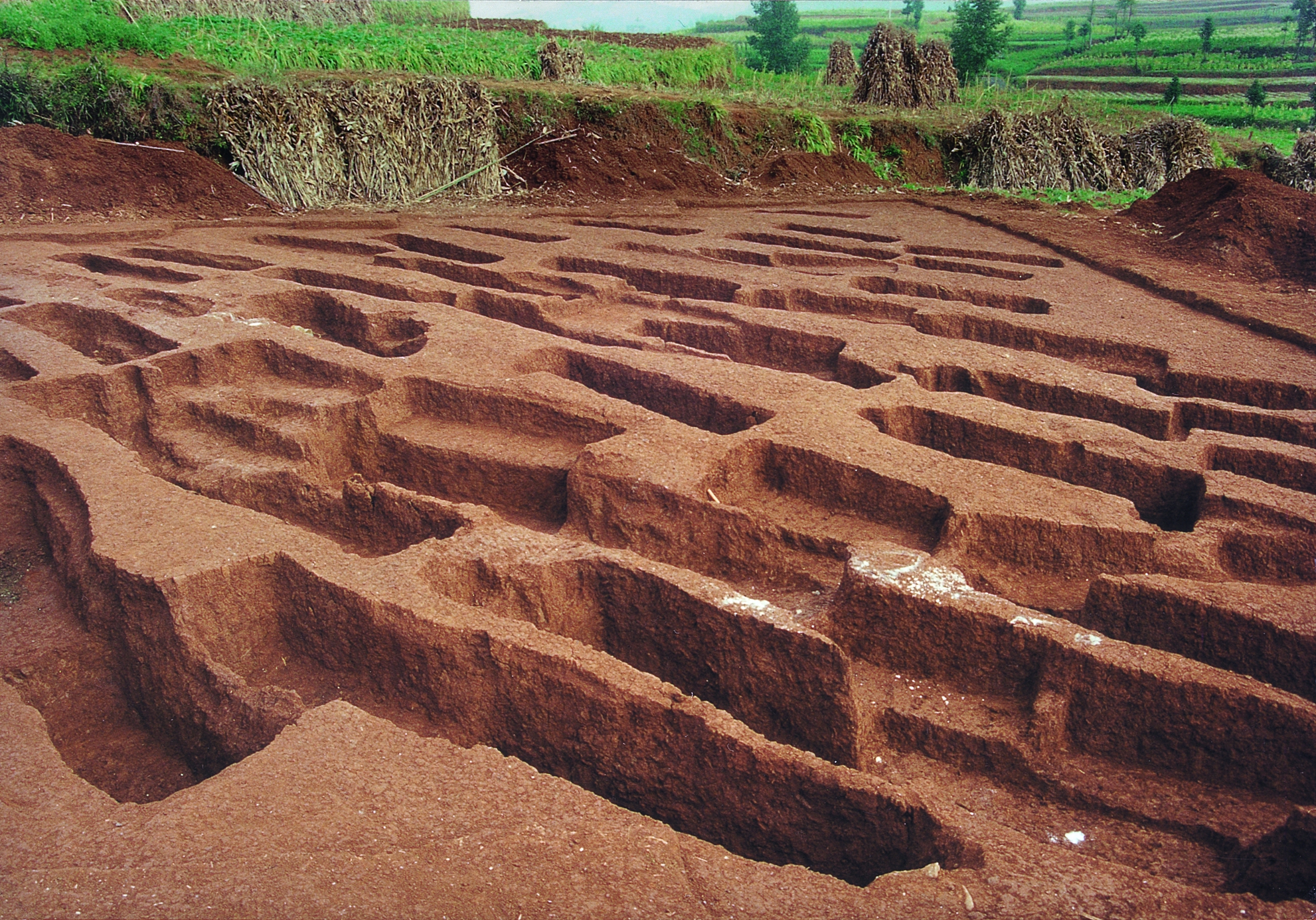 1669361415790529.jpg 图 2 赫章可乐遗址墓葬图_副本.jpg