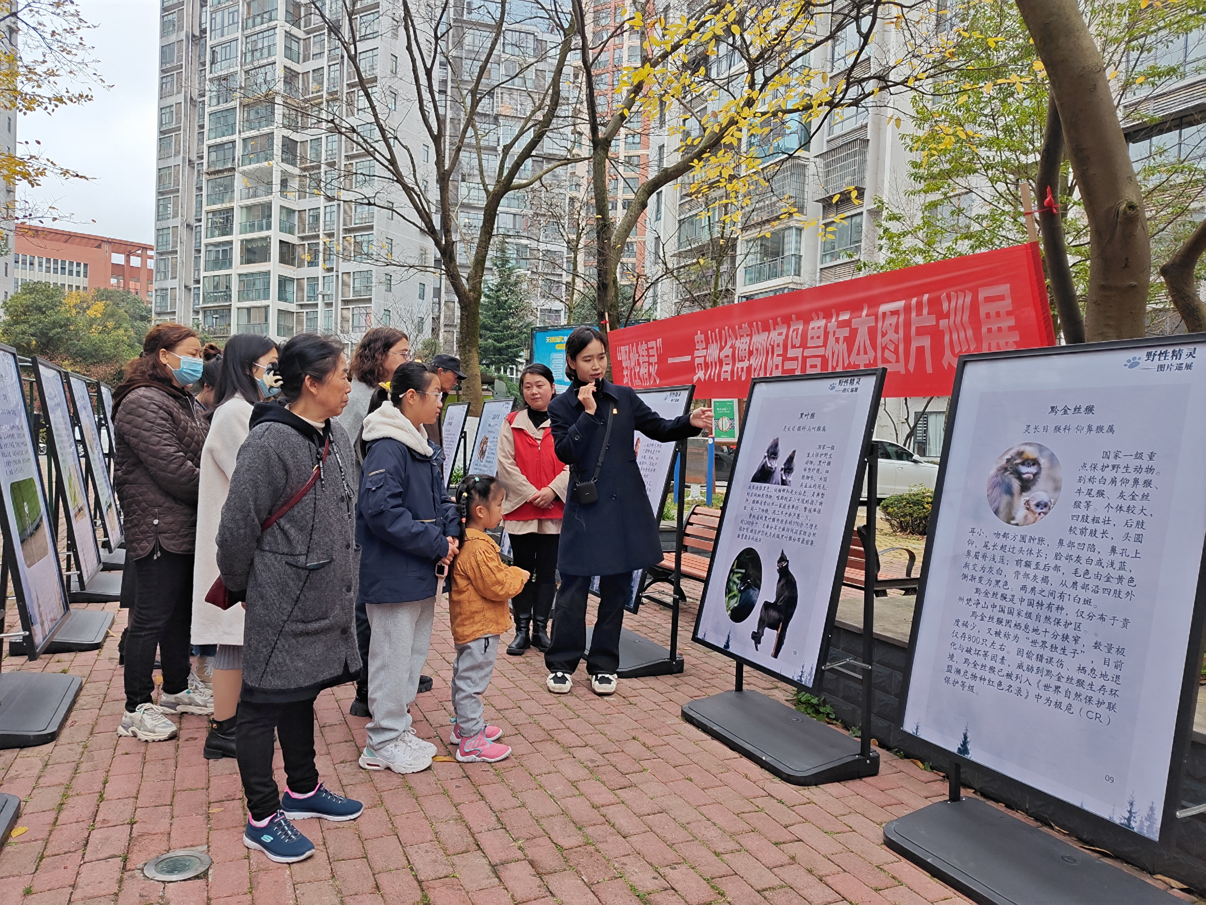 1703752987180680.jpg 1703752987180680.jpg