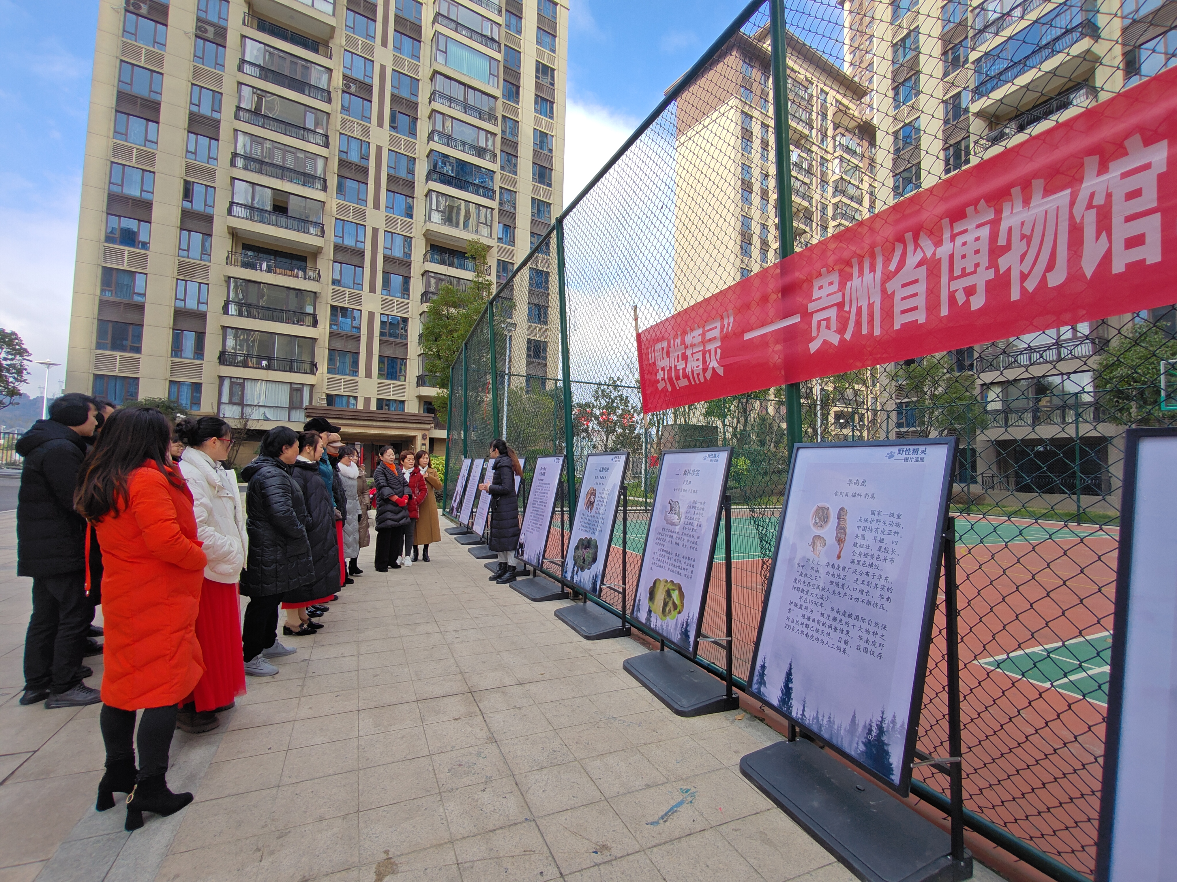 1703753320728583.jpg 1703753320728583.jpg