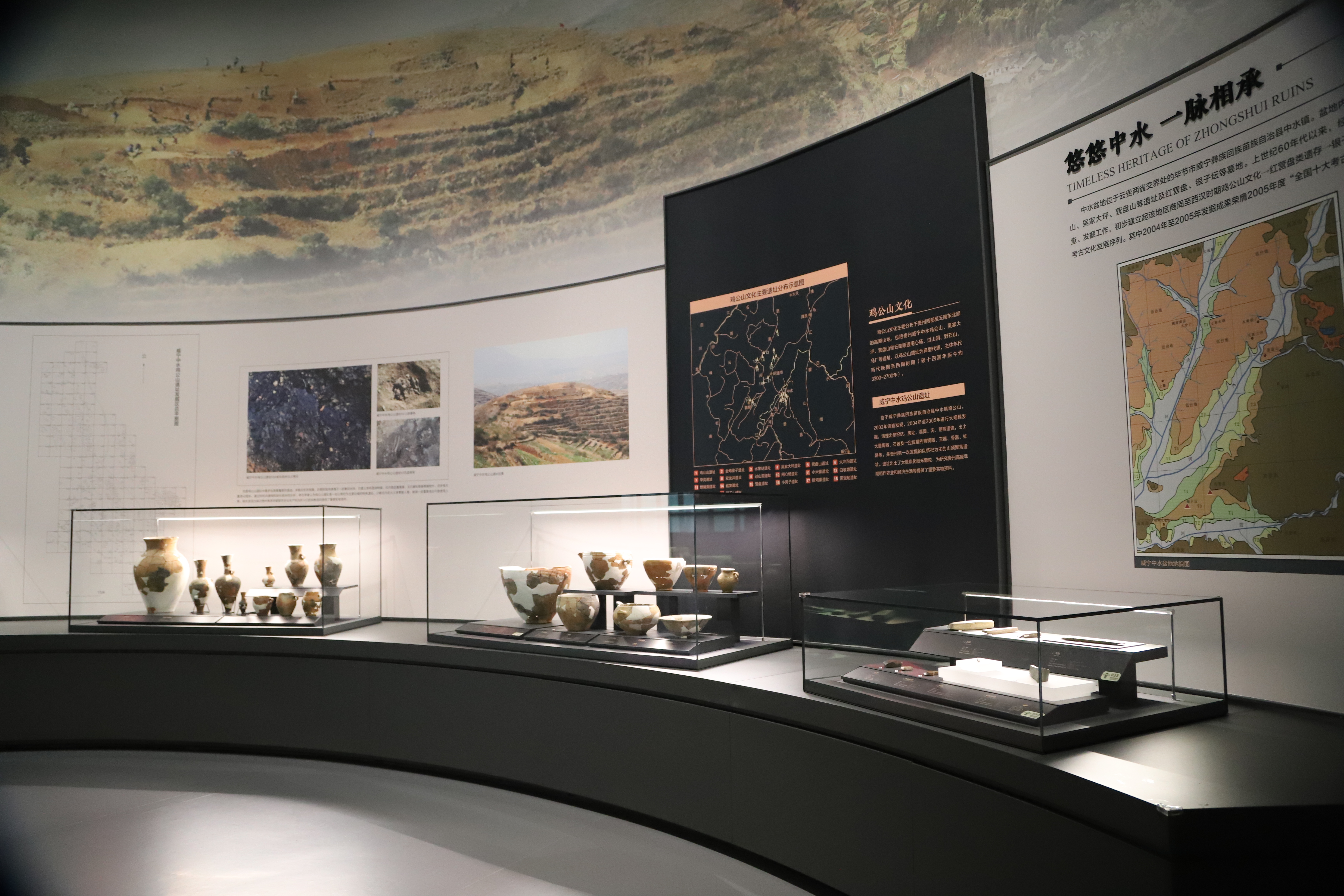 1767769037148463.jpg 1767769037148463.jpg